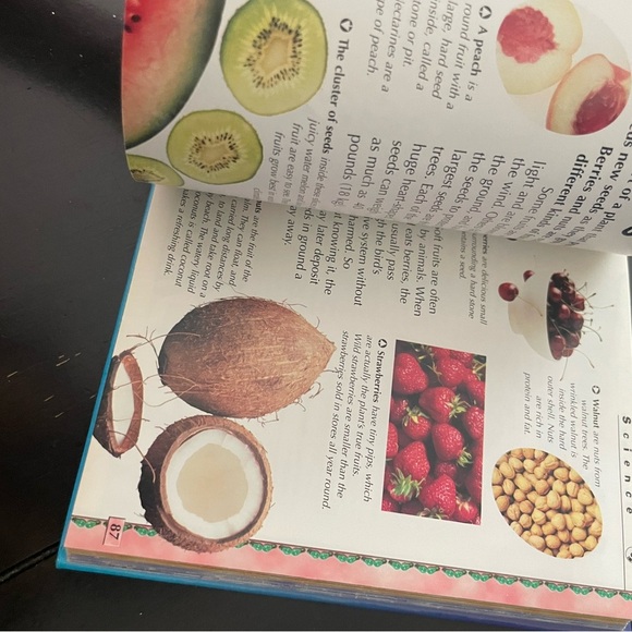 My First Encyclopedia Book - Picture 6 of 6